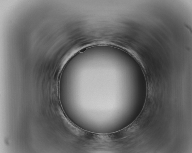 X0000099550911200805231148