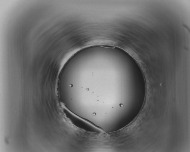 X0000099550912200805231148