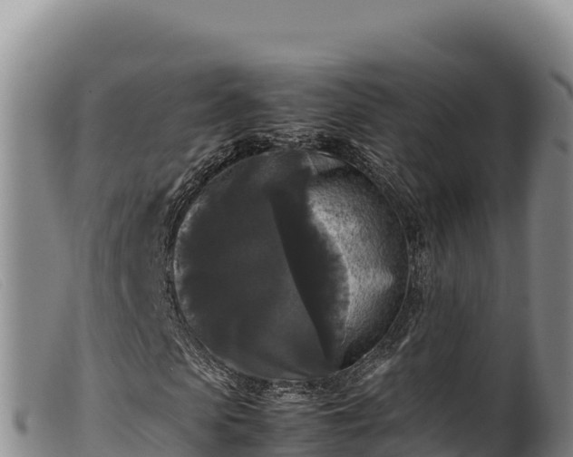 X0000099550913200805231147