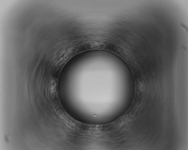 X0000099550914200805231147