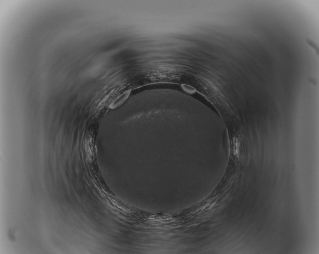 X0000099550915200805231147