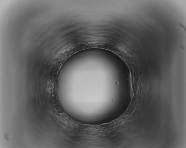 X0000099550917200805231147