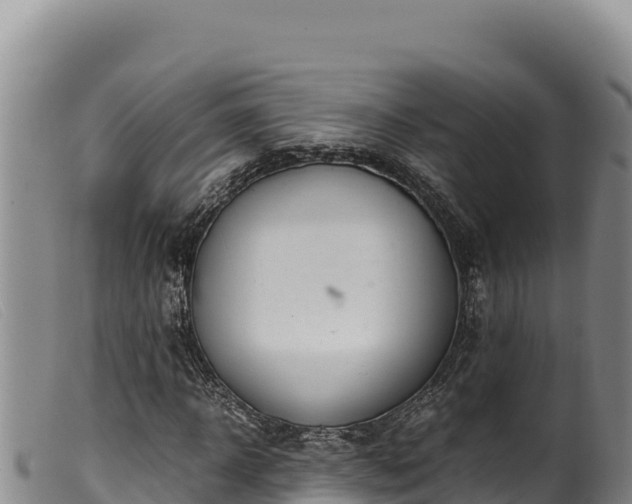 X0000099550918200805231147