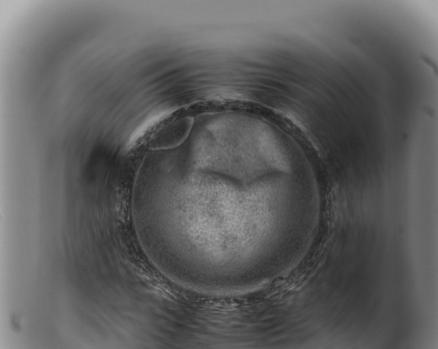 X0000099550919200805231147