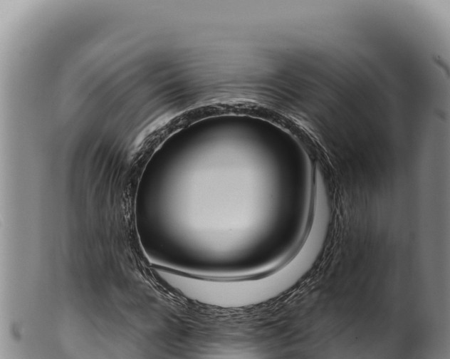 X0000099550920200805231147