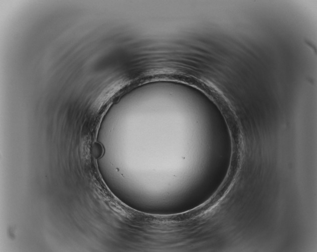 X0000099550921200805231147