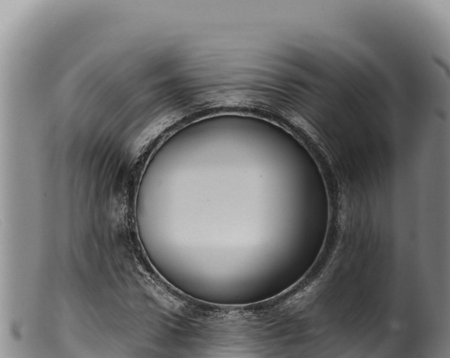 X0000099550922200805231147