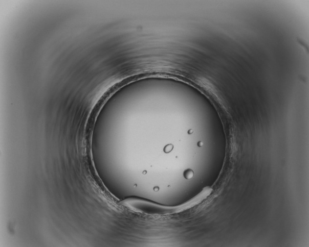 X0000099550924200805231147