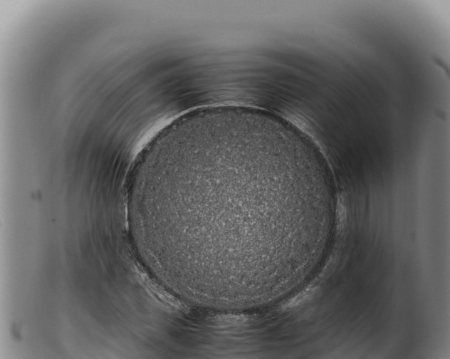 X0000099550925200805231147