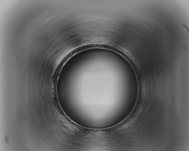 X0000099550926200805231147