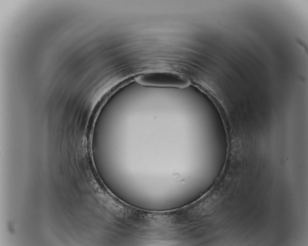 X0000099550928200805231147