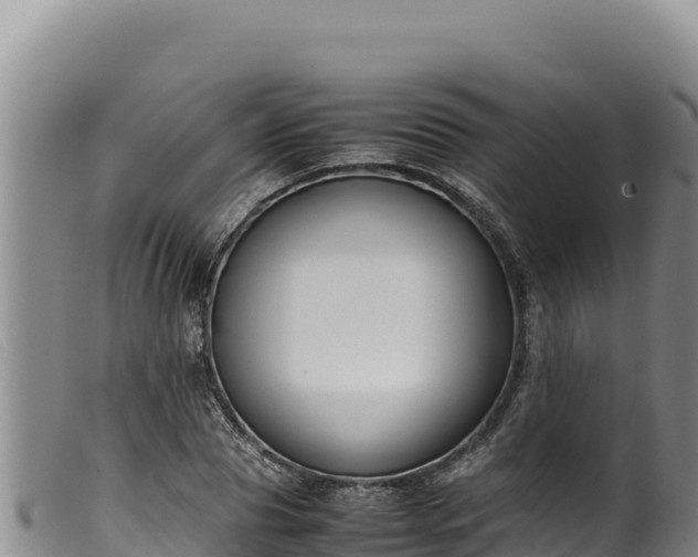 X0000099550929200805231147