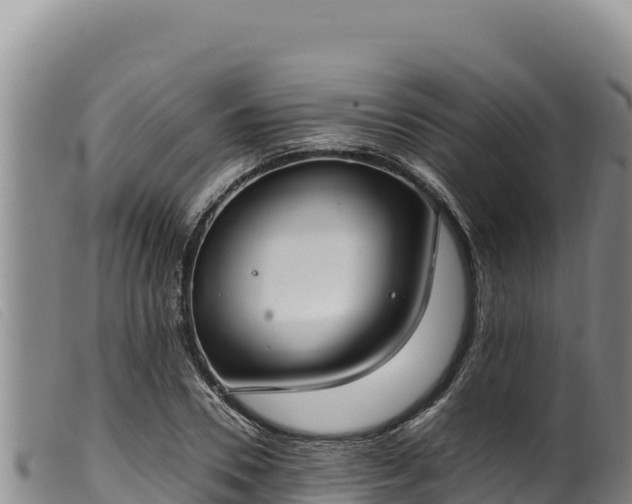 X0000099550930200805231147