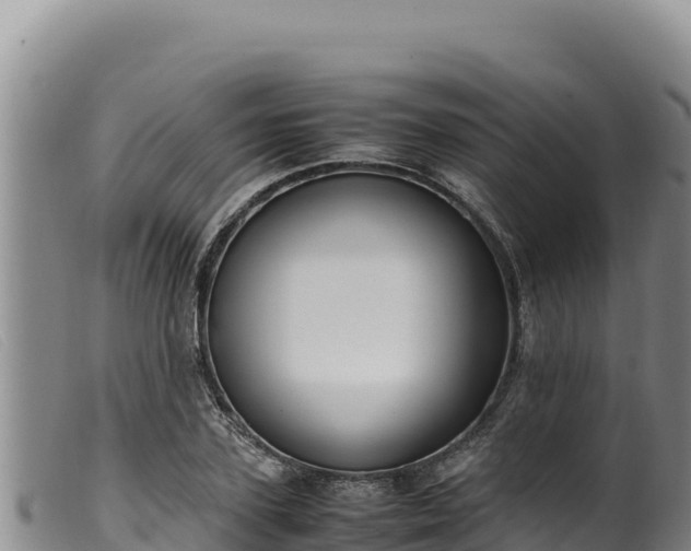 X0000099550931200805231147