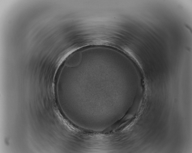 X0000099550932200805231147