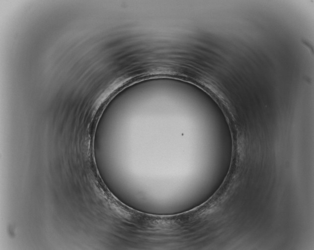 X0000099550933200805231147