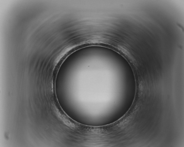 X0000099550934200805231147