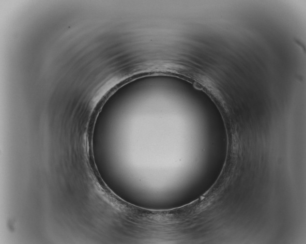 X0000099550936200805231147