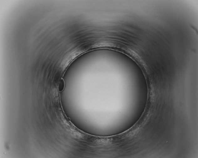 X0000099550937200805231147