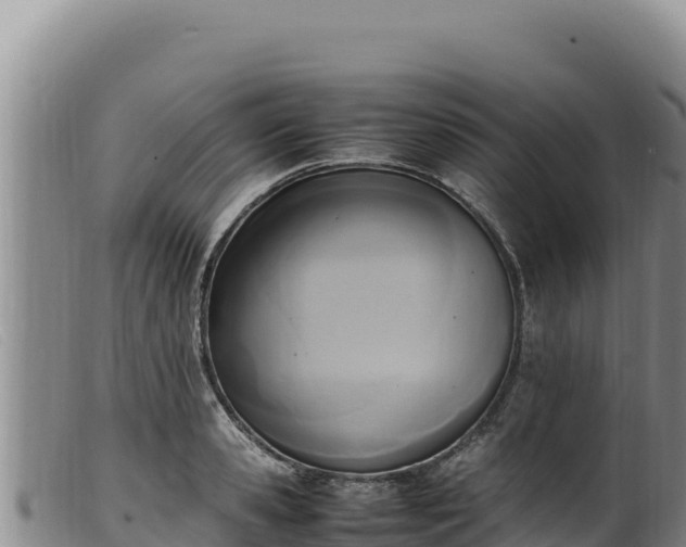 X0000099550941200805231147