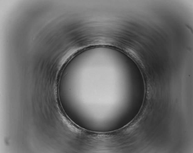 X0000099550942200805231147