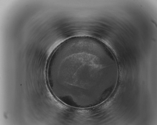 X0000099550943200805231147