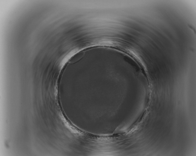 X0000099550944200805231147