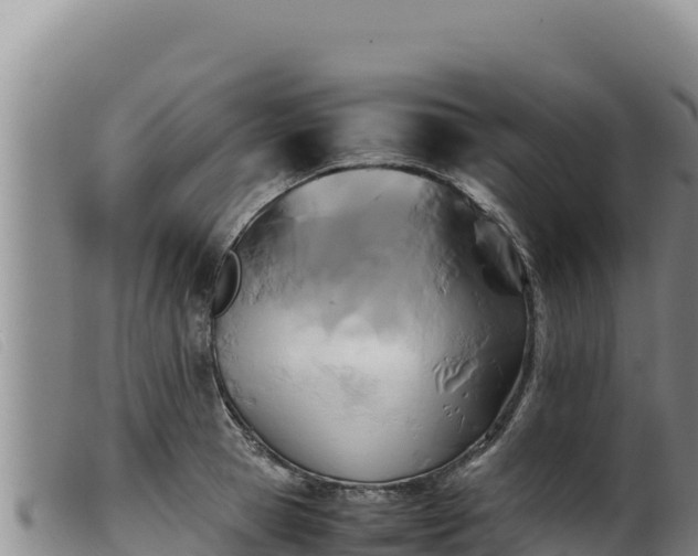 X0000099550945200805231147