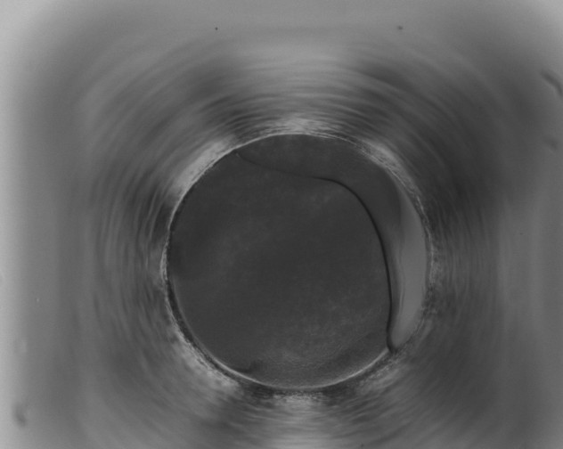 X0000099550946200805231148