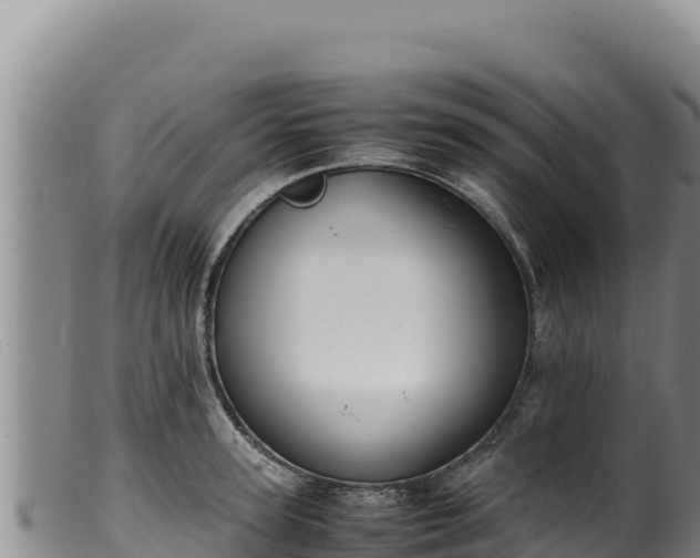 X0000099550947200805231148