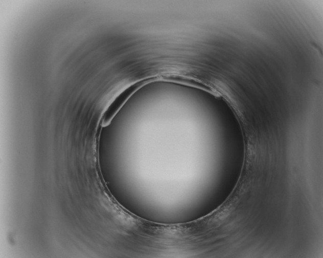 X0000099550948200805231148