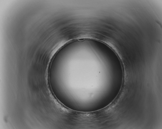 X0000099550949200805231148