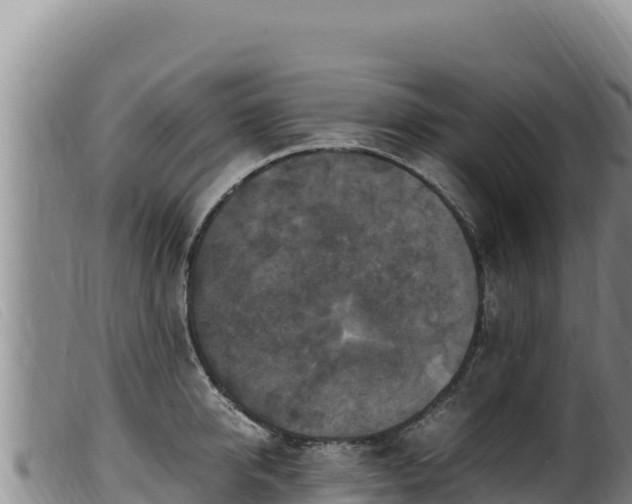 X0000099550950200805231148