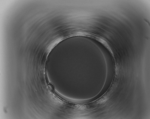 X0000099550954200805231148