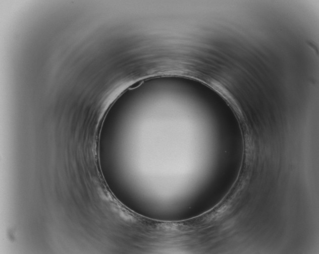 X0000099550956200805231148