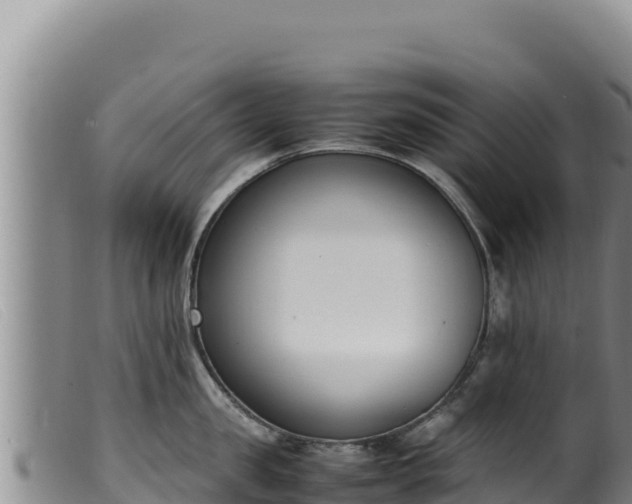 X0000099550957200805231148