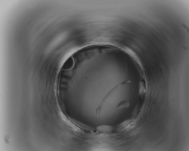 X0000099550958200805231148