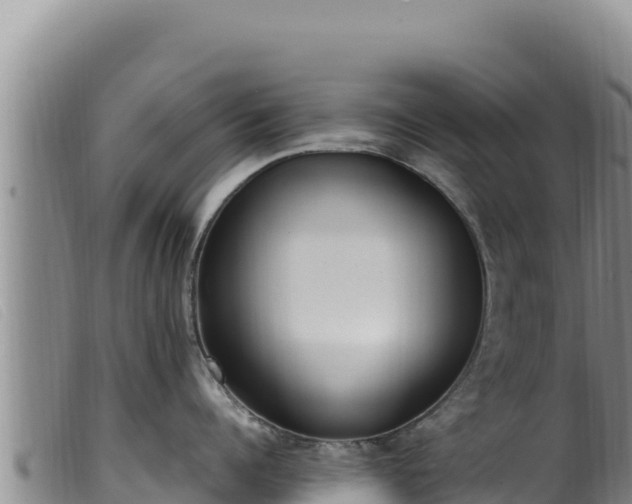 X0000099550960200805231148