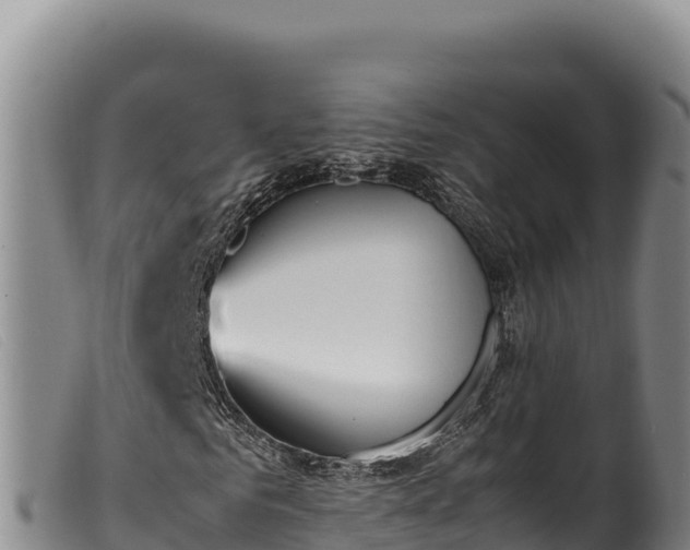 X0000099550961200805231147