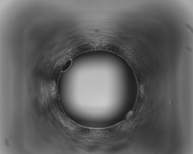 X0000099550963200805231147