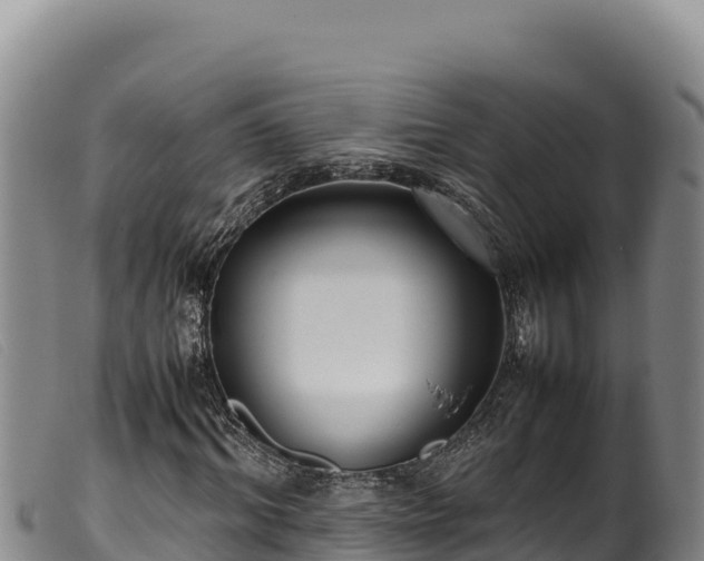 X0000099550964200805231147