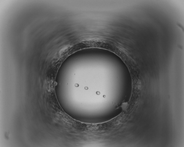 X0000099550965200805231147