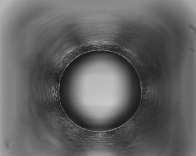 X0000099550966200805231147