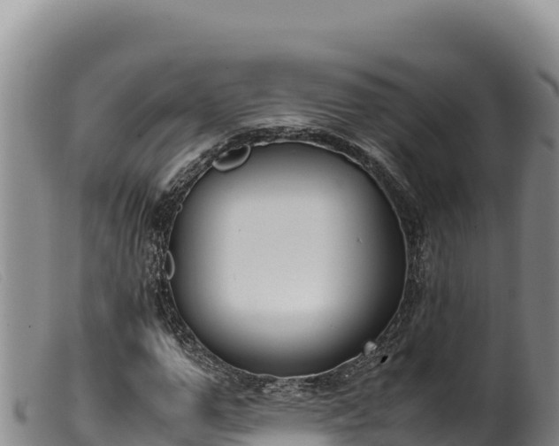 X0000099550967200805231147