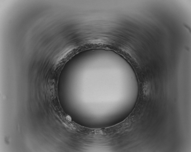 X0000099550968200805231147