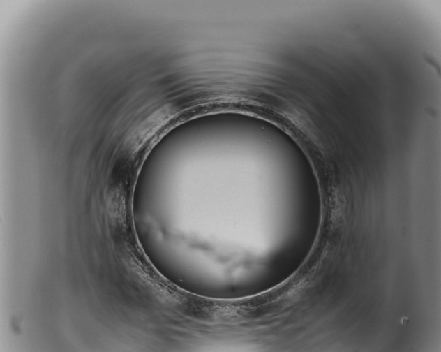 X0000099550969200805231147