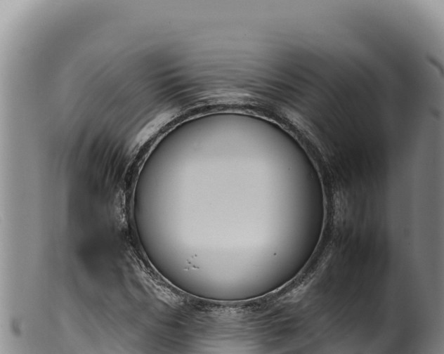 X0000099550970200805231147