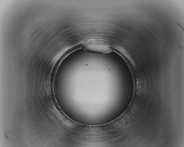 X0000099550972200805231147