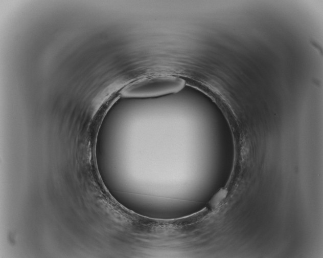 X0000099550973200805231147