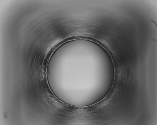 X0000099550974200805231147